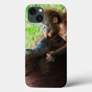 Orangutan mother and baby iPhone 13 case