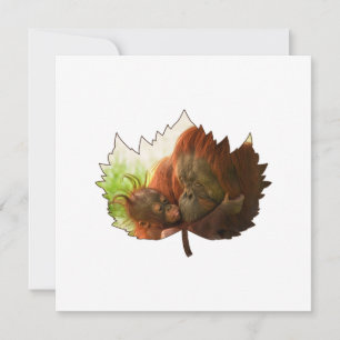 Orangutan Mother And Baby  Invitation