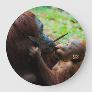 Orangutan mother and baby large clock