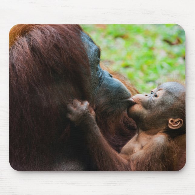 Orangutan mother and baby mouse mat (Front)