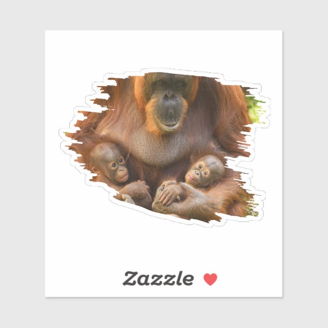 Orangutan Mother Holding Two Babies (Sheet)