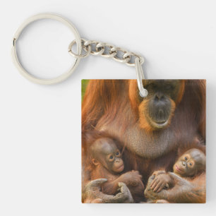 Orangutan Mother Holding Two Babies Key Ring