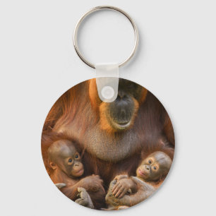 Orangutan Mother Holding Two Babies Key Ring