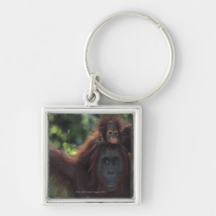 Orangutan Mother with Baby Key Ring