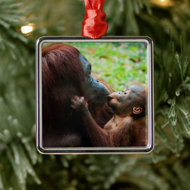 Orangutan Mother with Baby Metal Tree Decoration (Tree)