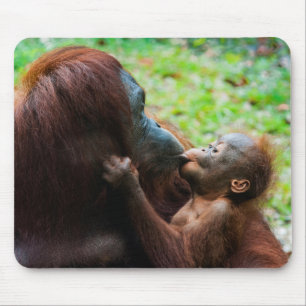 Orangutan Mother with Baby Mouse Mat