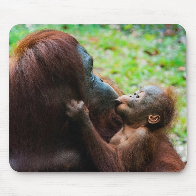 Orangutan Mother with Baby Mouse Mat (Front)