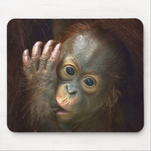 Orangutan Mouse Mat
