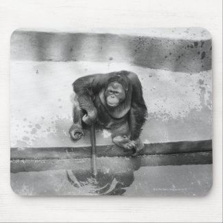 Orangutan Mouse Mat