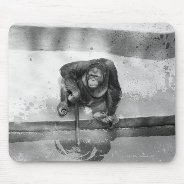 Orangutan Mouse Mat (Front)