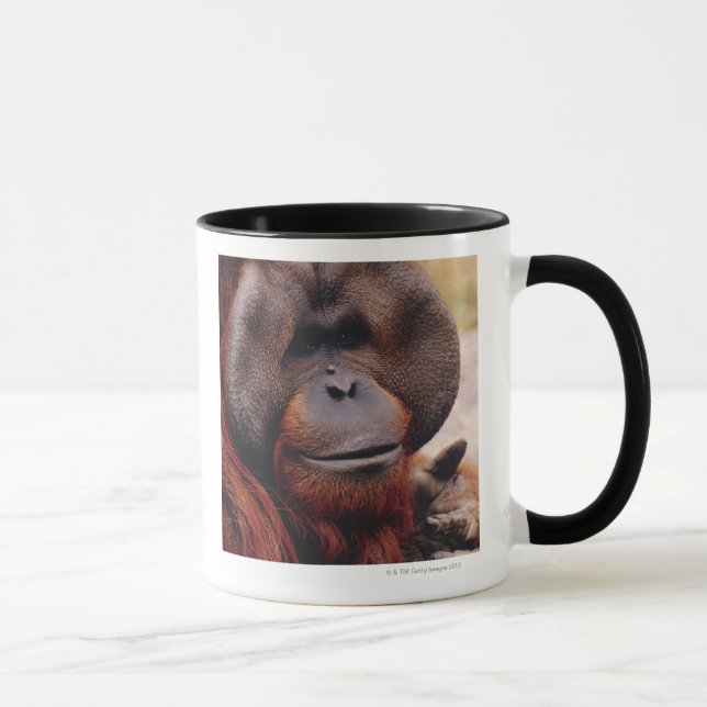Orangutan Mug (Right)