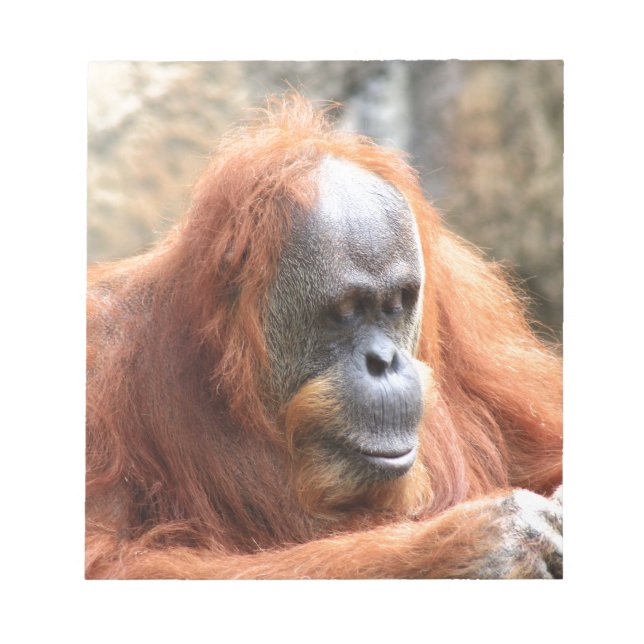 Orangutan Notepad (Front)