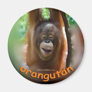 Orangutan Official Fan Magnet