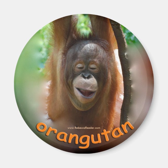 Orangutan Official Fan Magnet (Front)
