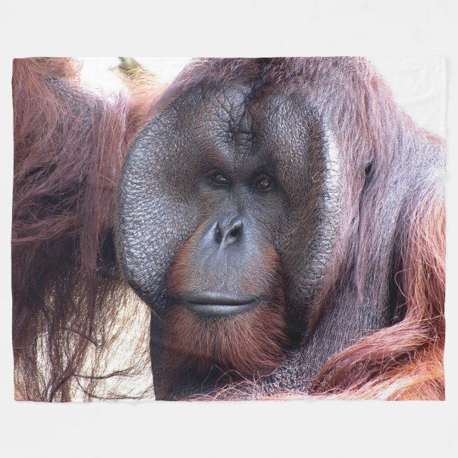 Orangutan on Large Fleece Blanket (Front (Horizontal))