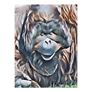 ORANGUTAN PHOTO PRINT