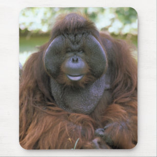 Orangutan Pongo Pygmaeus Mouse Mat