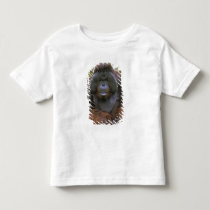 Orangutan Pongo Pygmaeus Toddler T-Shirt