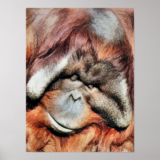 ORANGUTAN POSTER (Front)