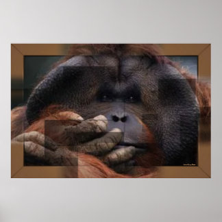 Orangutan Print