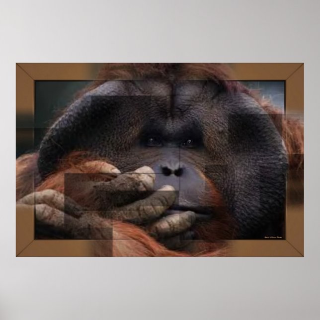 Orangutan Print (Front)