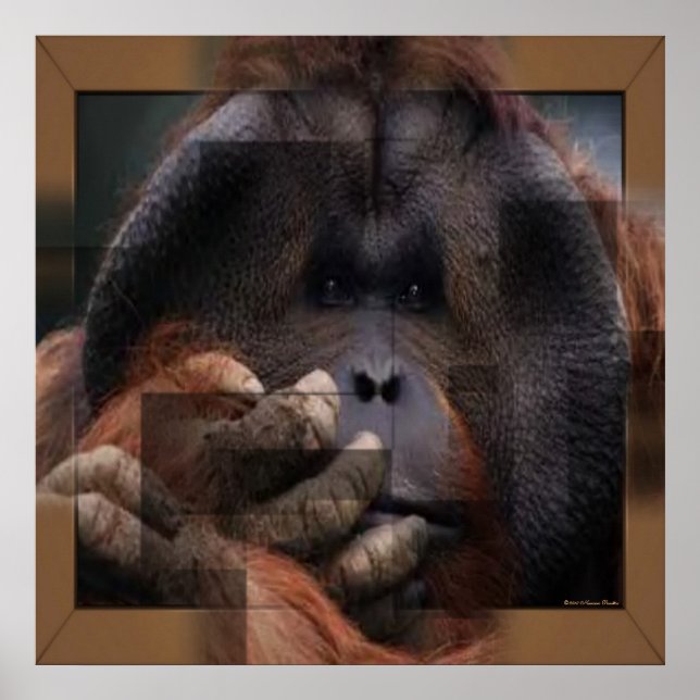 Orangutan Print (Front)