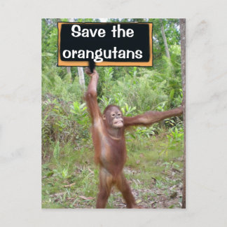 Orangutan Protest Sign Postcard