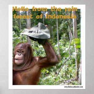 Orangutan rain forest welcome poster