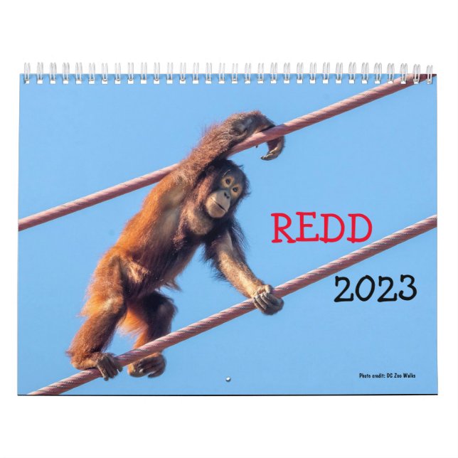 Orangutan Redd 2023 Calendar (Cover)