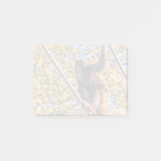 Orangutan Redd at the National Zoo Post-it Notes