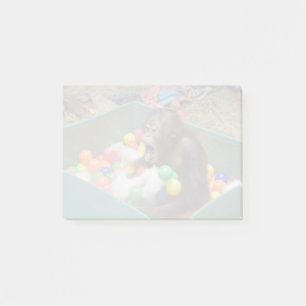 Orangutan Redd at the National Zoo Post-it Notes