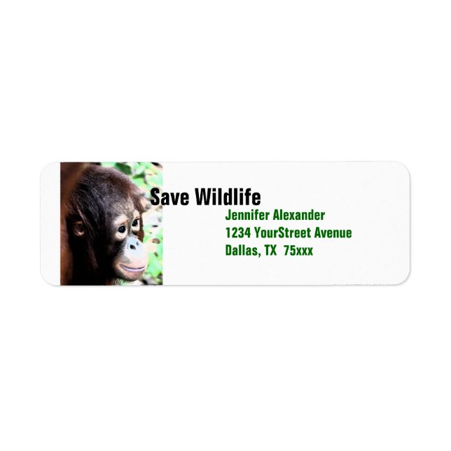 Orangutan Save Wildlife (Front)