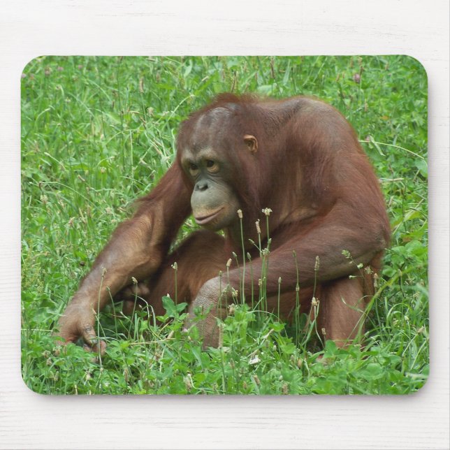 Orangutan Sitting Portrait Mousepad (Front)
