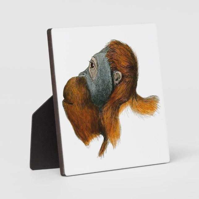 Orangutan Tabletop Plaque with Easel (Front)