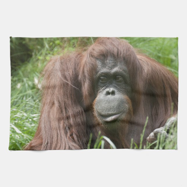 Orangutan Tea Towel (Horizontal)