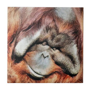 ORANGUTAN TILE