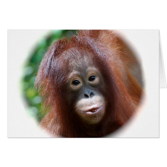 Orangutan Toddler Card