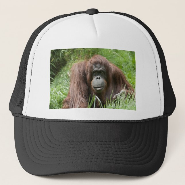Orangutan Trucker Hat (Front)