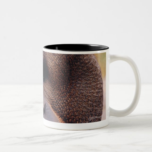 Orangutan Two-Tone Coffee Mug (Right)