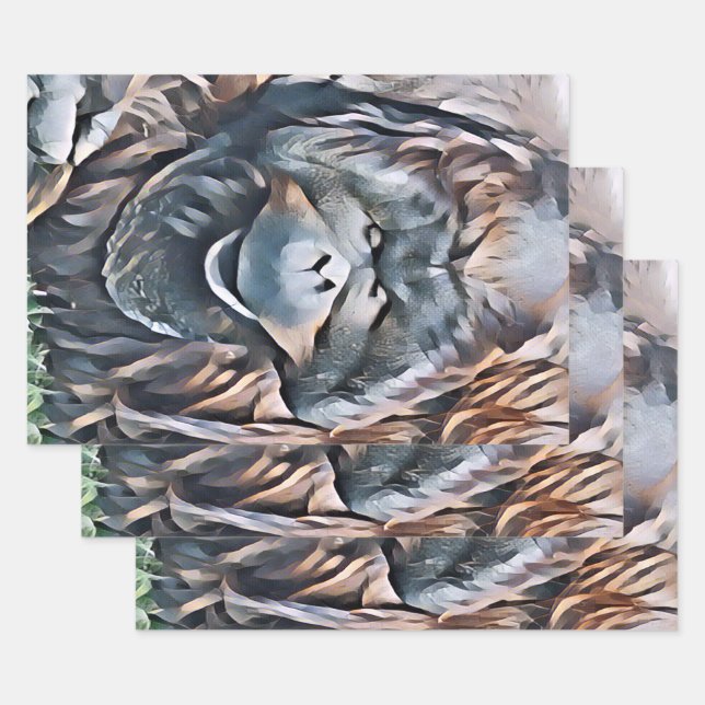ORANGUTAN WRAPPING PAPER SHEET (Set)