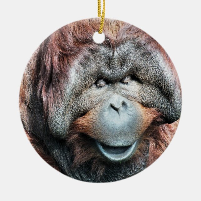 ORANGUTANS CERAMIC TREE DECORATION (Front)