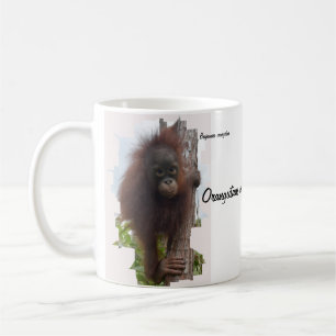 Orangutans in Borneo Coffee Mug