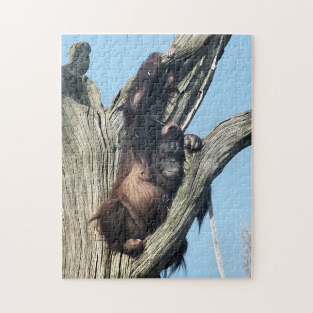 ORANGUTANS JIGSAW PUZZLE (Vertical)