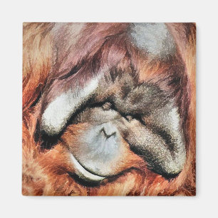 ORANGUTANS MAGNET