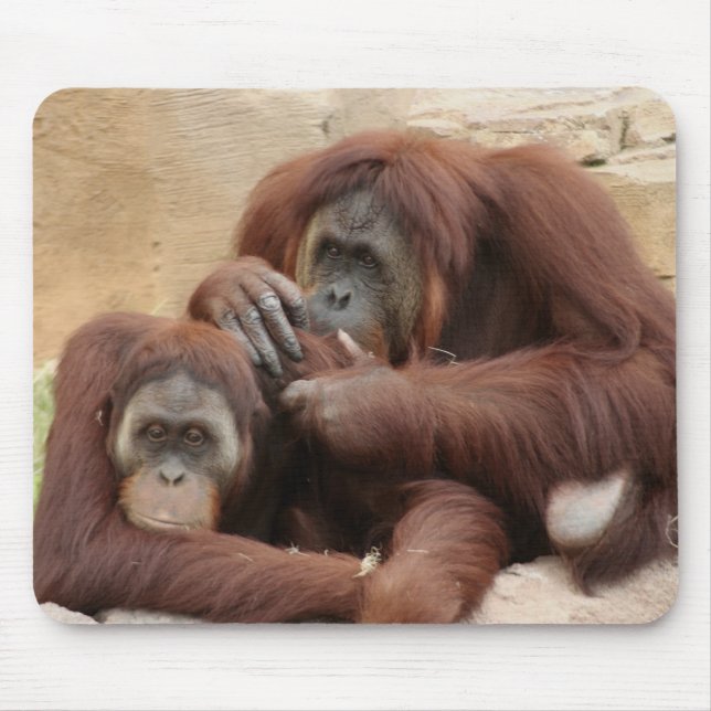 Orangutans Mouse Mat (Front)