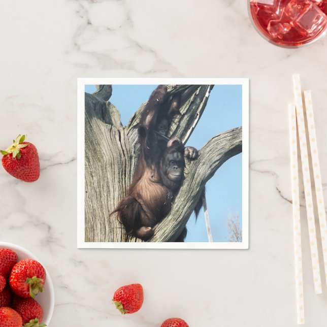 ORANGUTANS NAPKIN (Insitu)