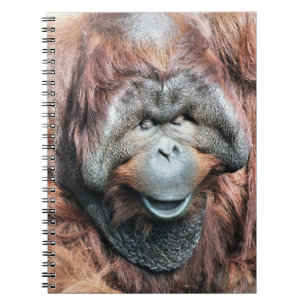 ORANGUTANS NOTEBOOK
