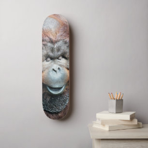 ORANGUTANS SKATEBOARD