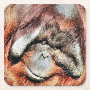 ORANGUTANS SQUARE PAPER COASTER