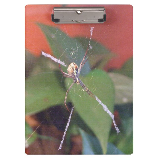 Orb Spider Clipboard (Front)